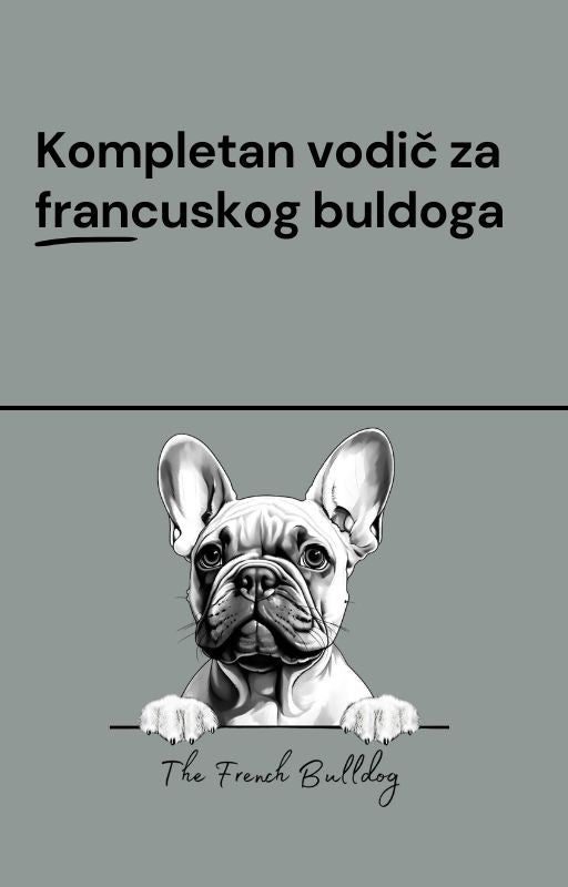 Kompletan vodič za francuskog buldoga